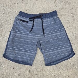 burnside Blue Striped Casual Shorts
